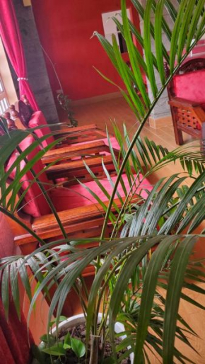Enashipai Love Resort